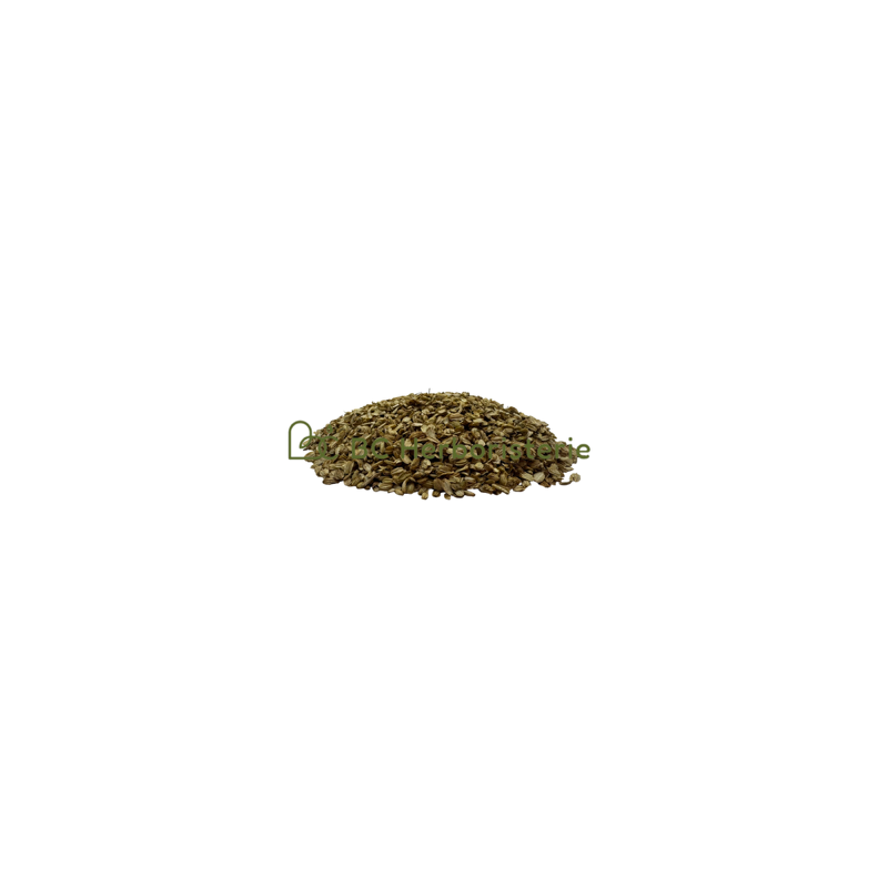 copy of Absinthe petite sommités