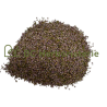Bruyère fleurs (callune)