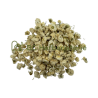 Camomille romaine fleurs