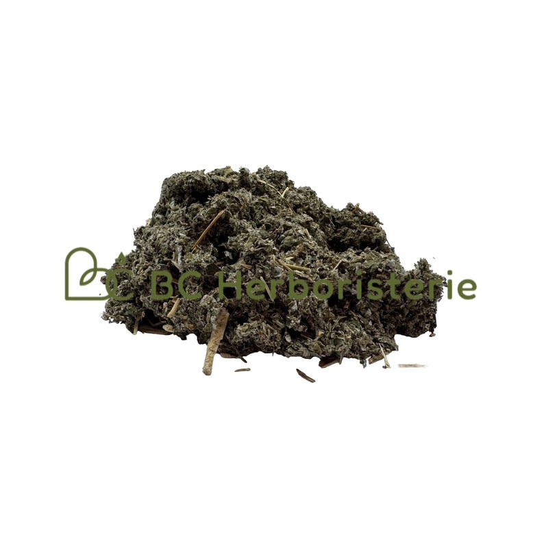 Framboisier feuille