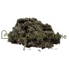 Framboisier feuille