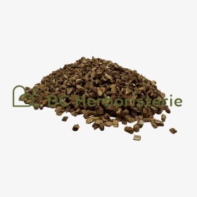 Astragale racine