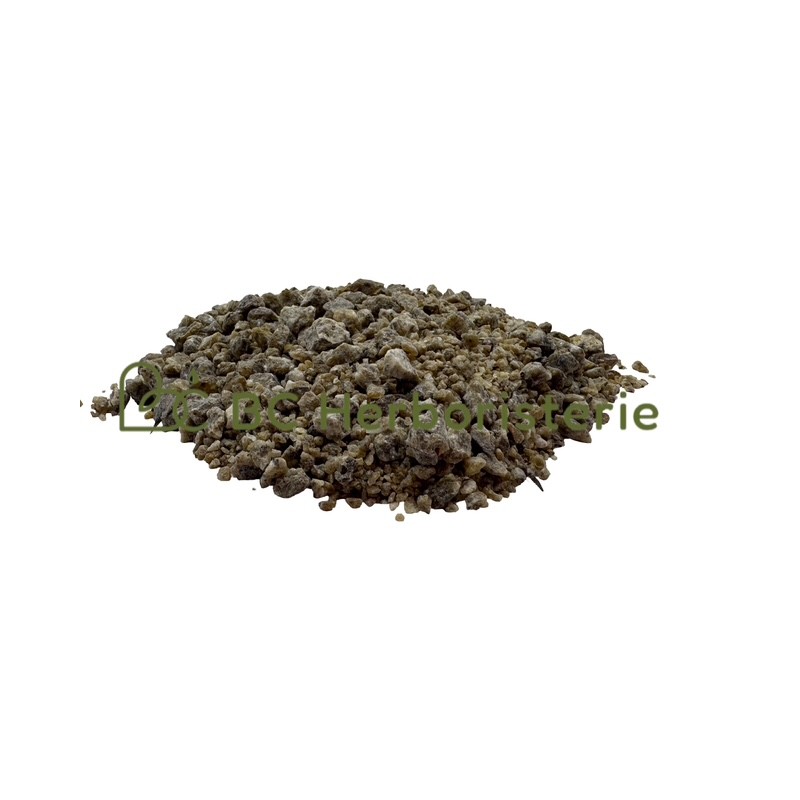 Benjoin de Sumatra (dragon fly) résine