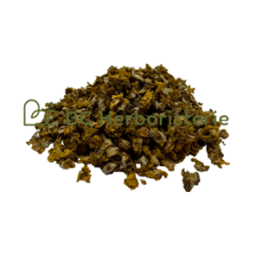 Bouillon blanc (molène) fleurs