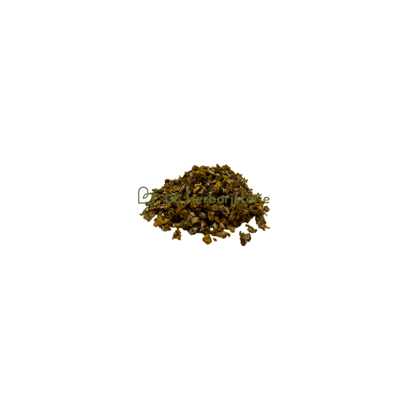 Bouillon blanc (molène) fleurs