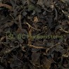 Fucus (Varech)
