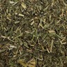 Fumeterre partie aérienne