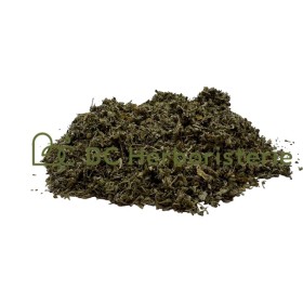Damiana feuille