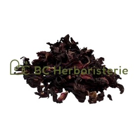 Hibiscus (karkadé) fleur