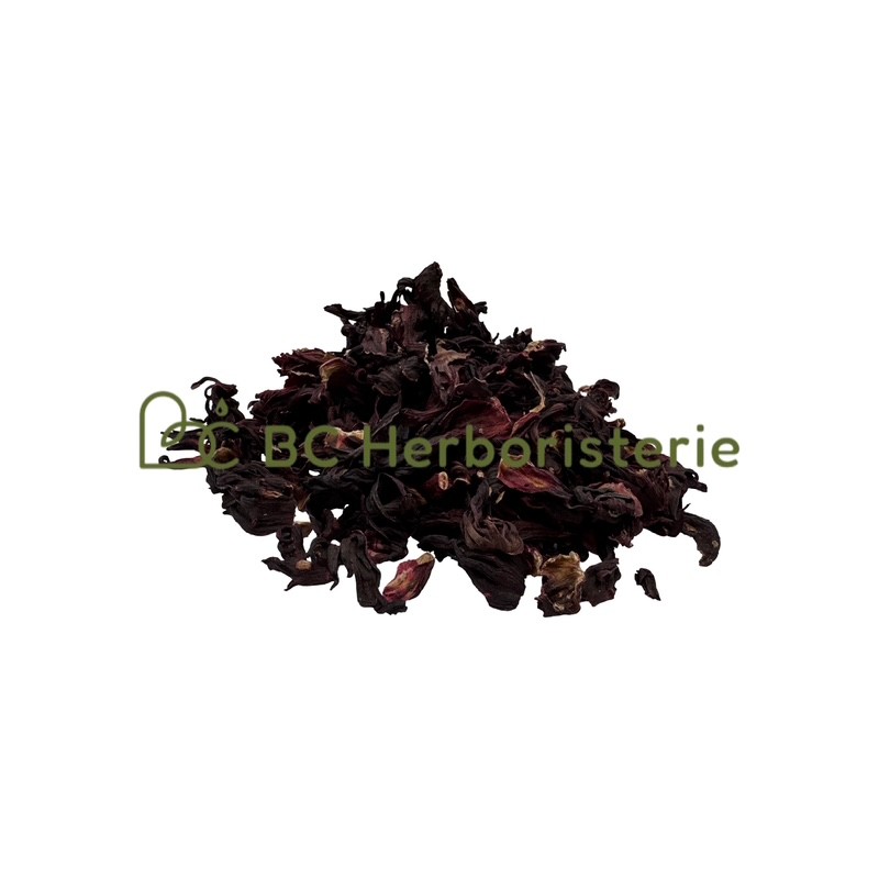 Hibiscus (karkadé) fleur