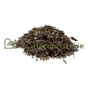 Lichen d'Islande thalle