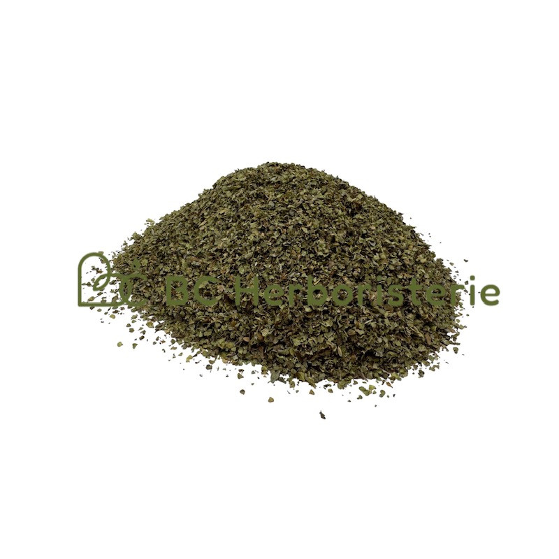 copy of Absinthe petite sommités