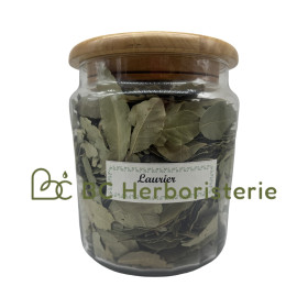 Laurier feuille