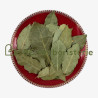 Laurier feuille