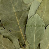 copy of Absinthe petite sommités