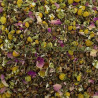 Tisane "Digestion" 50g - gamme "Mon bébé et moi"