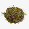 Tisane "Digestion" 50g - gamme "Mon bébé et moi"