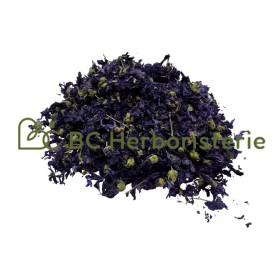 Mauve fleur