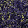 Mauve fleur
