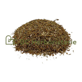 copy of Absinthe petite...