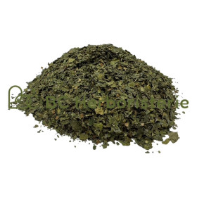 Mûrier feuille