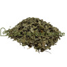 Jujubier (sidr) feuille (Ziziphus ziziphus)