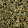copy of Absinthe petite sommités