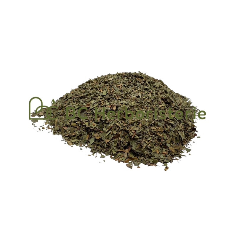 Myrte feuille