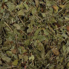 copy of Absinthe petite sommités