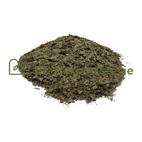 Neem (margousier) feuille