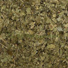 copy of Absinthe petite sommités