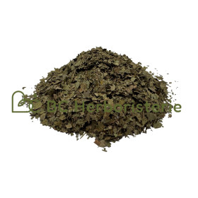 Noyer feuille