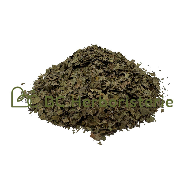 Noyer feuille