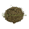 Noyer feuille