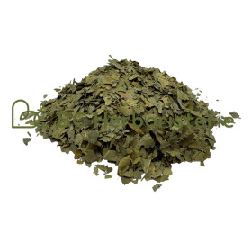 Oranger bigaradier feuille