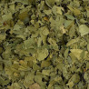 copy of Absinthe petite sommités