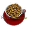 Oranger bigaradier bouton