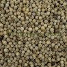 Poivre blanc grain