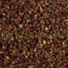 Poivre Sichuan grain