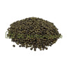 Poivre vert grain