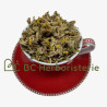 Primevère officinale fleur