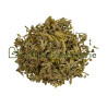 Primevère officinale fleur