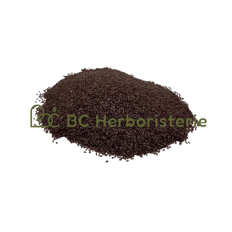 Psyllium noir graine