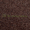 Psyllium noir graine
