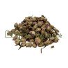 Rose de Damas bouton floral