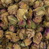 Rose de Damas bouton floral