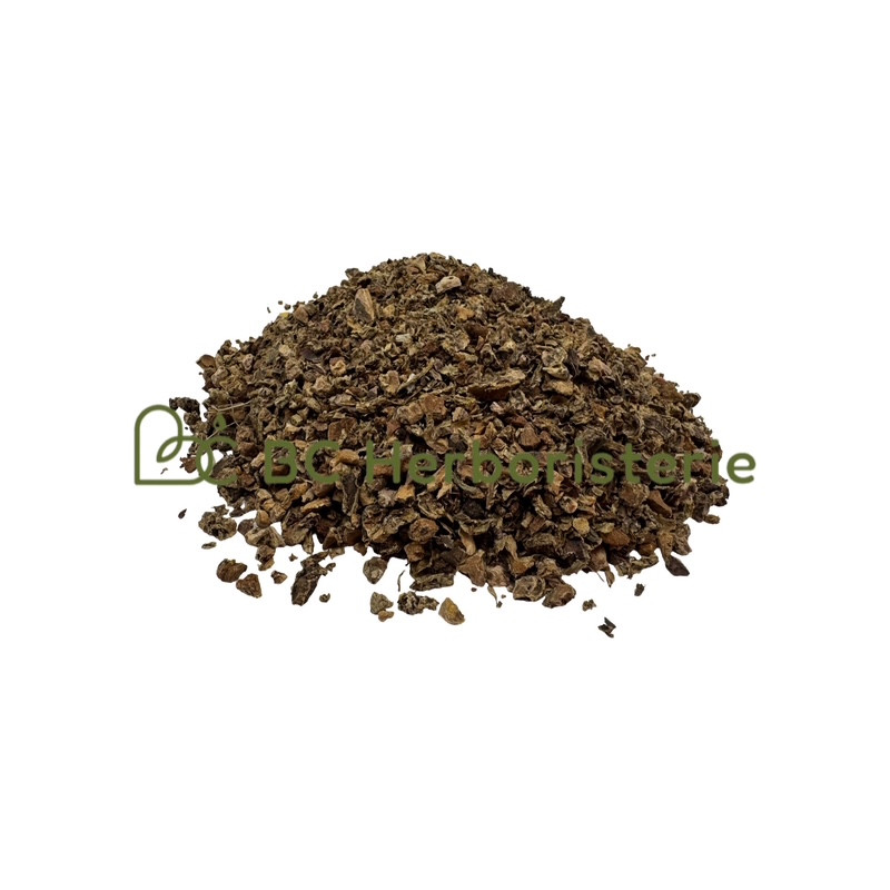Rhodiole racine