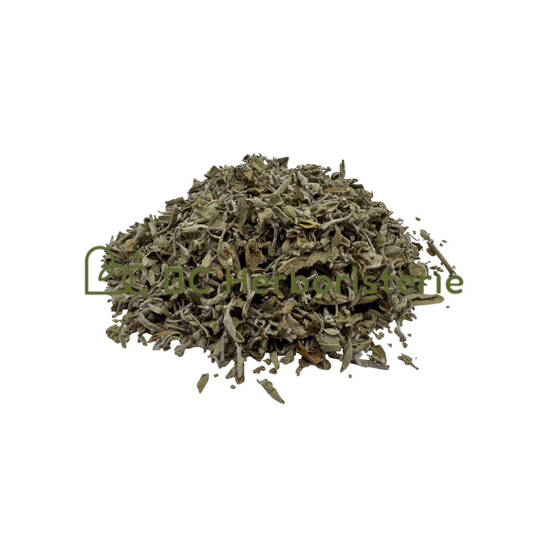 Sauge officinale feuille entière