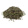 Sauge officinale feuille entière