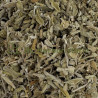 Sauge officinale feuille entière